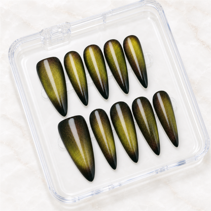 Olive Eclipse