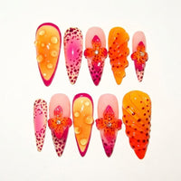 Sunset Jelly