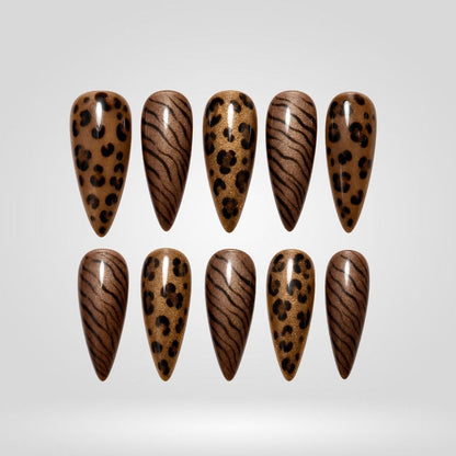 Safari Leopard