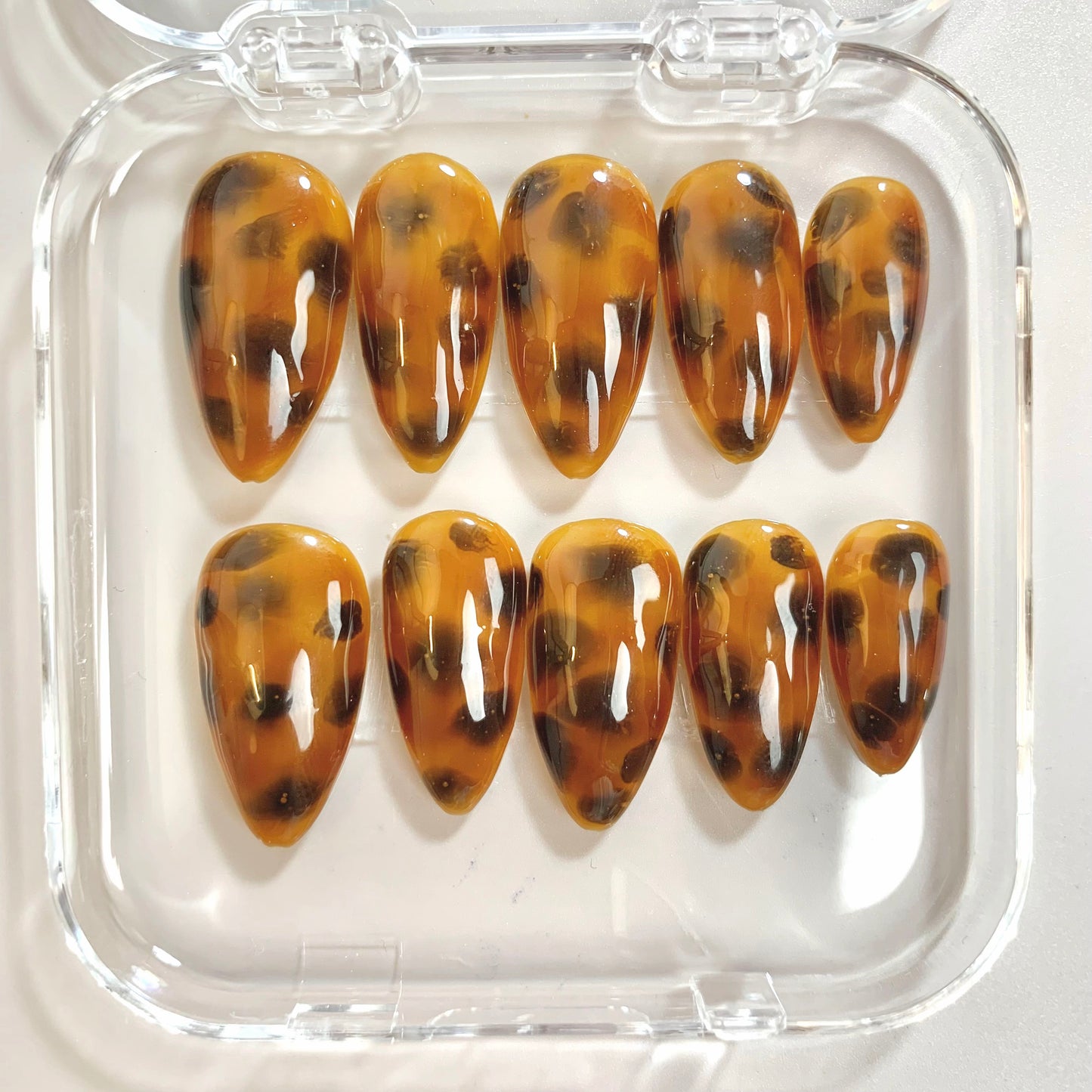 Tortoise Mist