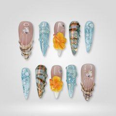 Shell Tide