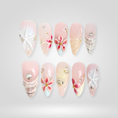 Blush Shell