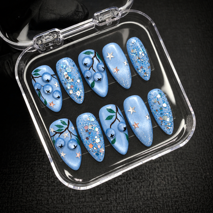 Open clear case holding ten coordinated blue nails with blueberry, leaf, star, and glitter designs on a dark textured background.
