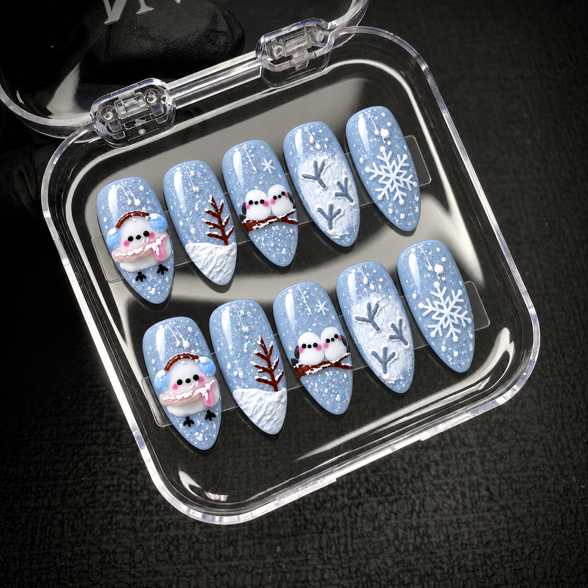 Open clear presentation case displaying ten coordinated blue winter nails in two rows of five designs.