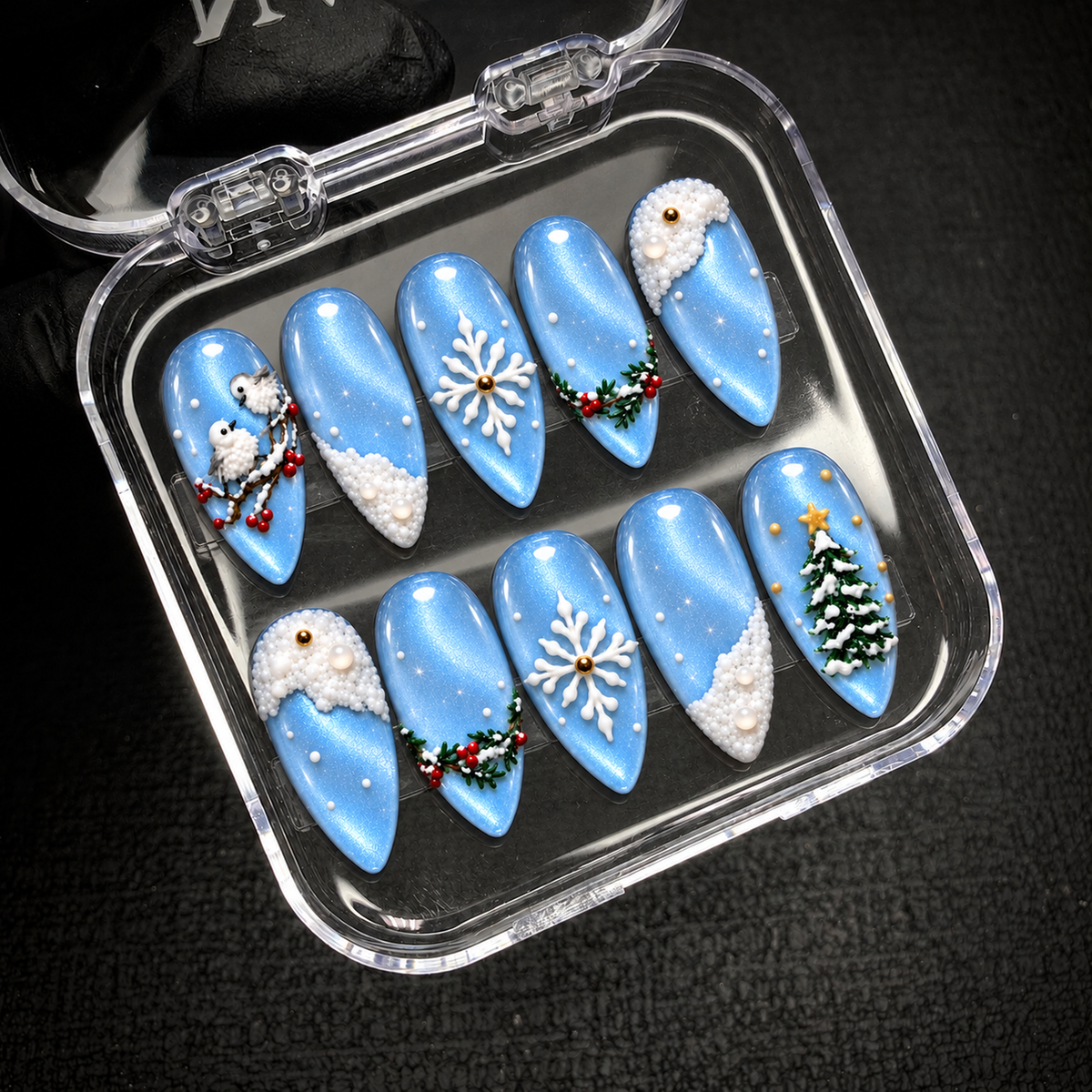 Open clear nail case on a dark textured background holding ten icy blue winter nails with birds, snowflakes, berry sprigs, and a Christmas tree.