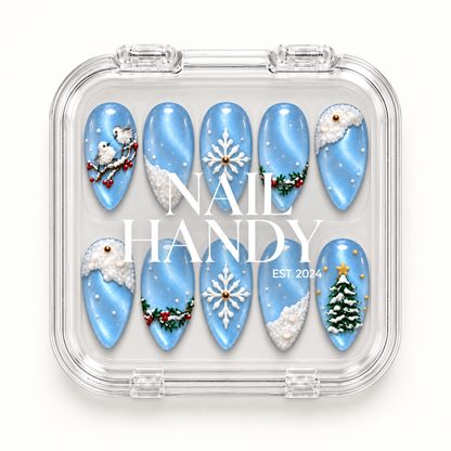 Closed clear case with white Nail Handy lettering, displaying ten icy blue winter nails in two rows on a light background.